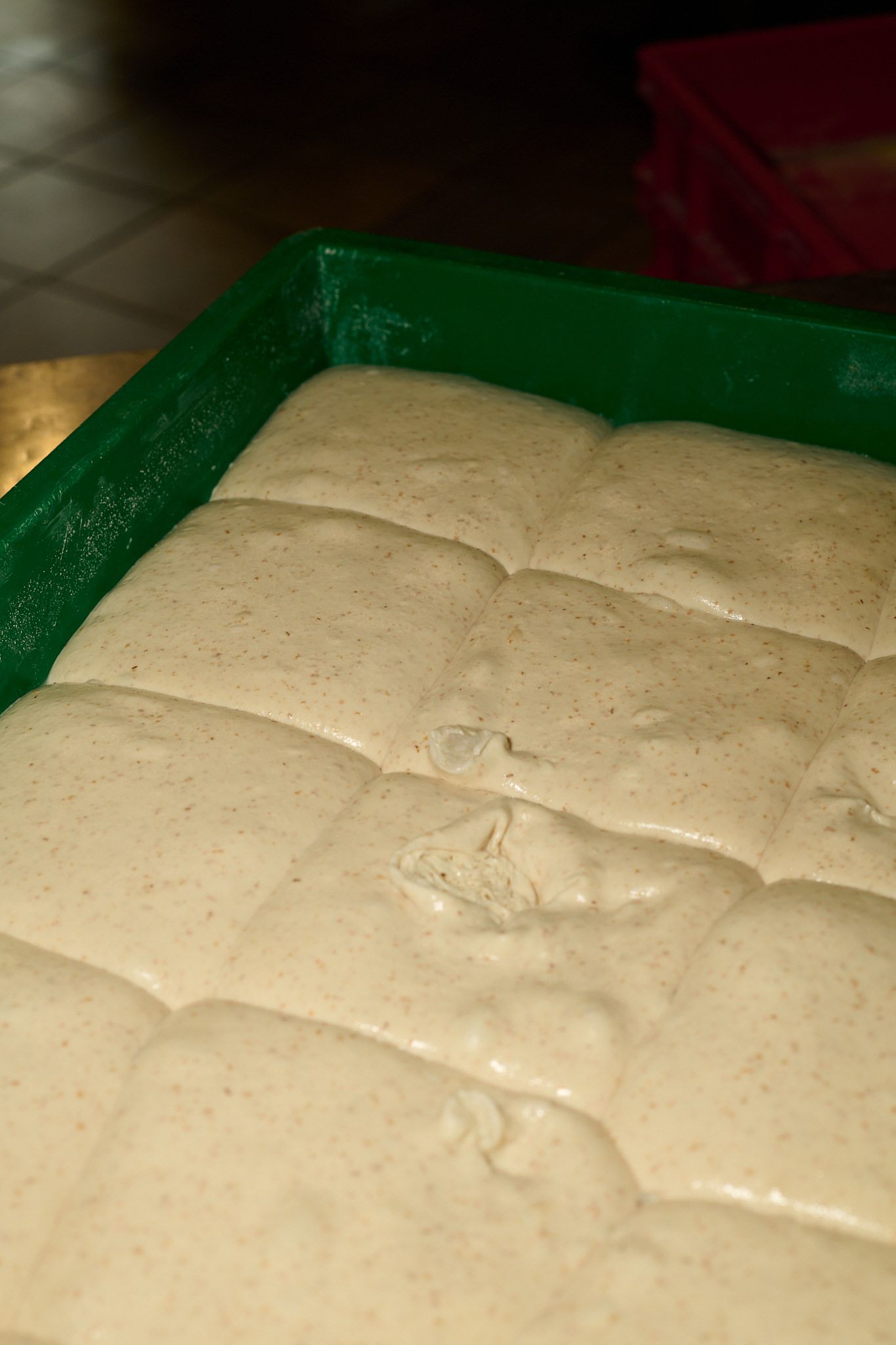 Panetti di impasto che lievitano in una cassetta